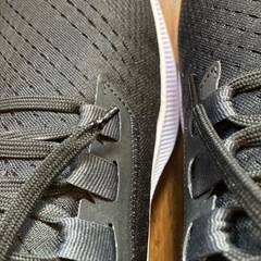 NIKE ナイキ　ペガサス38の画像