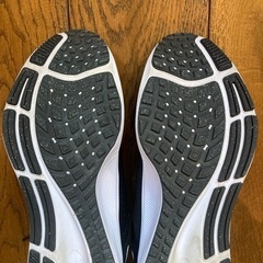 NIKE ナイキ　ペガサス38の画像