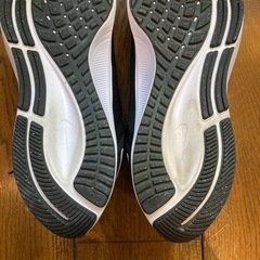 NIKE ナイキ　ペガサス38の画像