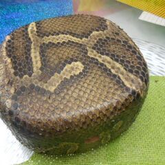 A1現品販売 沖縄三線専用 蛇皮強化(二重張)型チーガ 自作へ