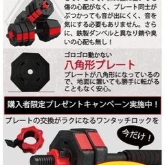 ダンベル　20kg 2個セット　Woutの画像