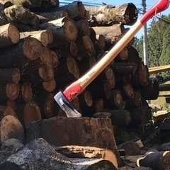 ご一緒に薪割り（筋トレ）しませんか💪