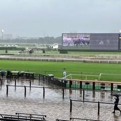競馬友達募集します‼️