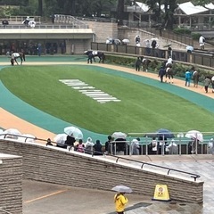 競馬友達募集します‼️ - 府中市