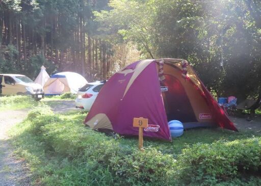 最終値下げ☆おまけ付【良品】Coleman テント タフドーム3025