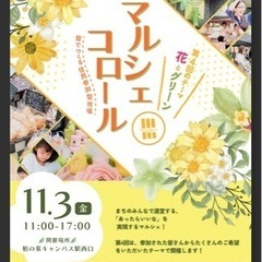 出店情報　11月3日　柏の葉キャンパス駅