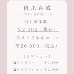 自爪育成したい方💖