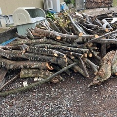限定　無料薪　未乾燥　広葉樹