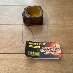 GEX EXO TERRA 爬虫類飼育5点セット　ガラスケージ・紫外線ライト・ヒーター・シェルター・水入れの画像