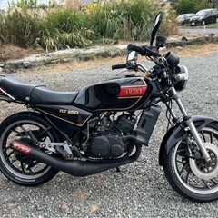 超大幅値引き！　ヤマハ　RZ 250 美車