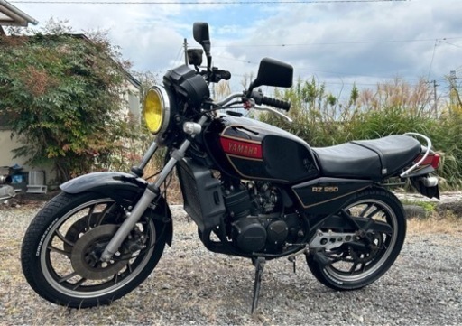 超大幅値引き！　ヤマハ　RZ 250 美車