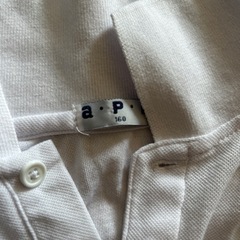 カッターシャツとポロシャツ　の画像