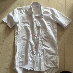 カッターシャツとポロシャツ　の画像