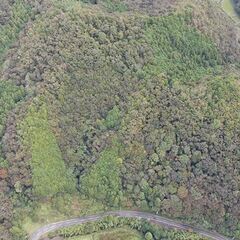 【成約済】山林物件148　兵庫県丹波篠山市本郷③