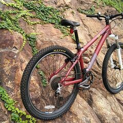 ２６インチマウンテンバイク  ２００６  ＧＩＡＮＴ ＳＴＰ３  サイズＳの画像