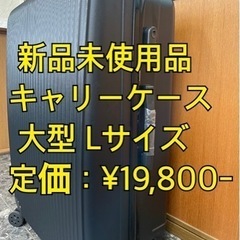 《美品》 キャリーケース Lサイズ 大型