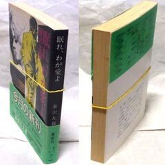【文庫古本】笹沢佐保「眠れ、わが愛よ(第１刷・帯有り)」・・・石垣島へ向かう小型旅客機が墜落・・・の画像