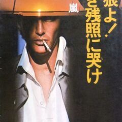 【文庫人気古本】石津嵐「孤狼よ！遠き残照に哭け(初版)」・・・チ...