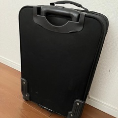 ハワイアンキャリーケースの画像