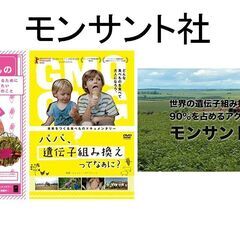都市伝説を語る会：楽しく・否定批判をしない・エンタメ要素満載・でも時々真面目 - その他