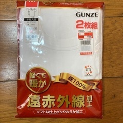 GUNZE 半袖シャツ 2枚組 メンズ