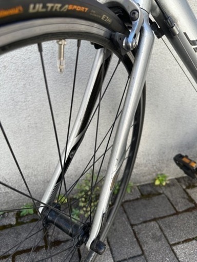 Specialized Sectur