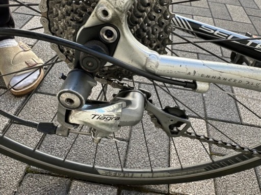 Specialized Sectur