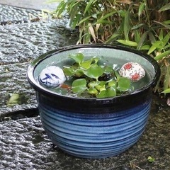 水瓶　鉢　すいれん鉢　10号　あげます。