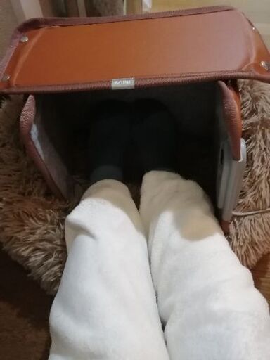 パネルヒーター　屋根付き