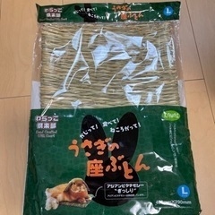 うさぎのざぶどん　L