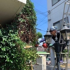 【高単価‼️】剪定など100万円〜現場もアリ！ 人工も大歓迎の画像