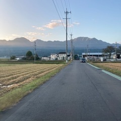 ウォーキングしましょ！