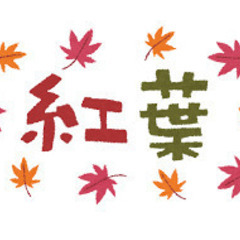 実施済み終了★そうだ　もみじ狩りいこう★