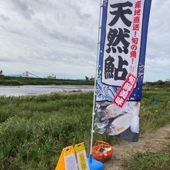 受付終了【九頭竜川　天然あゆ】メス一匹お買い上げごとに、オス一匹サービス。九頭竜中部漁協組合員直売キャンペーン　10/16のみの画像