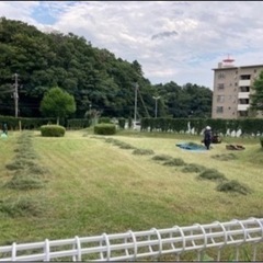 【100万〜】剪定など　造園協力事業者さま募集‼️の画像