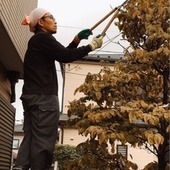 【100万〜】剪定など　造園協力事業者さま募集‼️の画像