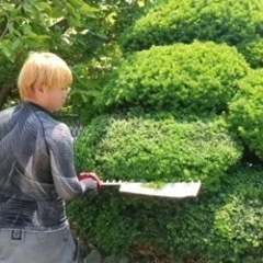 【100万〜】剪定など　造園協力事業者さま募集‼️の画像