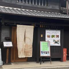 脳科学、セルフコーチングが学べます