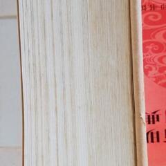 値下げ　日中辞書　（大）の画像