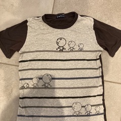 レディス半袖tシャツ  豚の絵