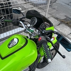 10月限定エリミネーター250seカスタム ペイント済の画像