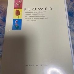 4セットミニアルバム