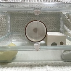 ハムスター飼育6点セット
