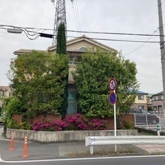 【草加】草刈り・剪定など　造園全般は弊社にお任せください！