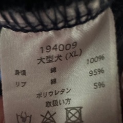 ガルフィーの画像