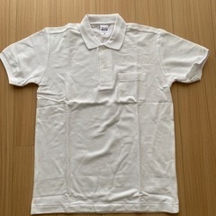 白ポロシャツ【新品未使用】メンズMサイズ