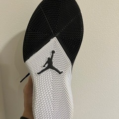 【値下げしました！】JORDAN WHY NOT ZERO 0.1 PFX 27cmの画像