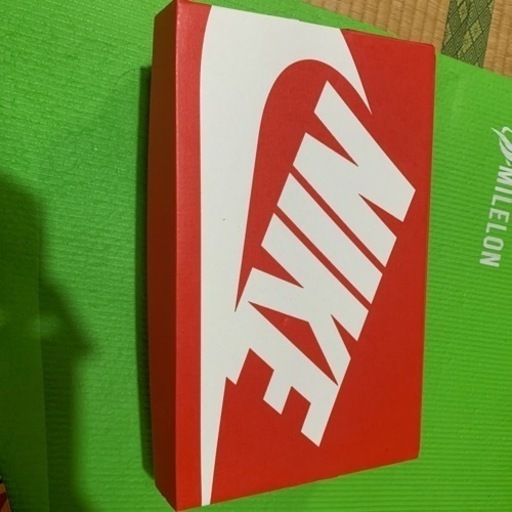 ナイキダンクロー　NIKE DUNK LOW