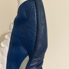 【値下げしました！】AIR JORDAN 12 RETRO 27cmの画像