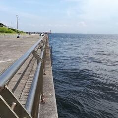 東扇島西公園　釣りに詳しい方